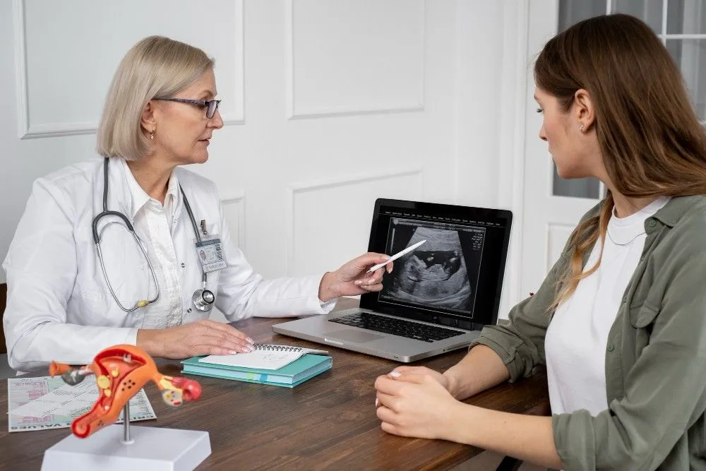 Your Day by Day Embryo Transfer Journey: What to Expect and More